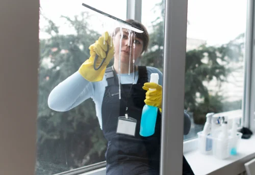Nettoyage de vitres intérieures et extérieures à Saint-Laurent-d'Arce